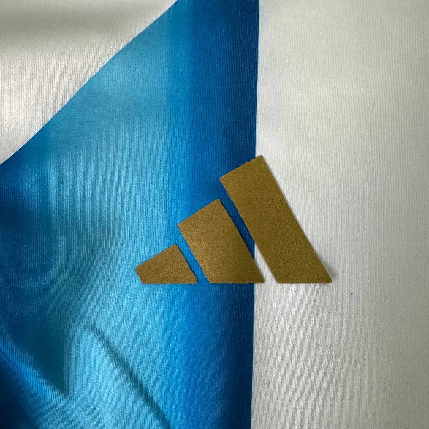 Argentina World Cup Track Top
