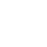 classic shirts